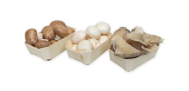 Tres barquetas de madera biodegradables con champiñones Portobello, champiñones blancos y setas de ostra